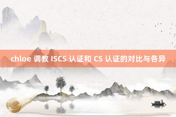 chloe 调教 ISCS 认证和 CS 认证的对比与各异