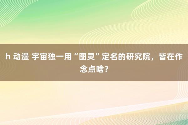 h 动漫 宇宙独一用“图灵”定名的研究院，皆在作念点啥？