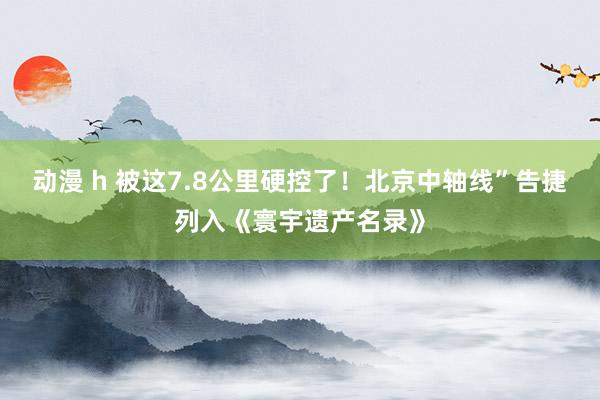 动漫 h 被这7.8公里硬控了！北京中轴线”告捷列入《寰宇遗产名录》