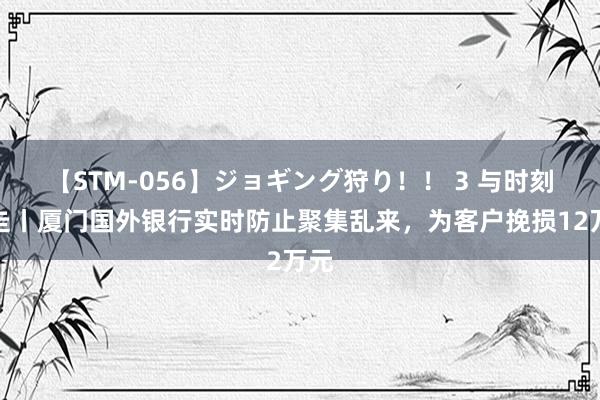 【STM-056】ジョギング狩り！！ 3 与时刻竞走丨厦门国外银行实时防止聚集乱来，为客户挽损12万元