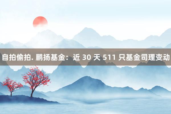 自拍偷拍. 鹏扬基金：近 30 天 511 只基金司理变动