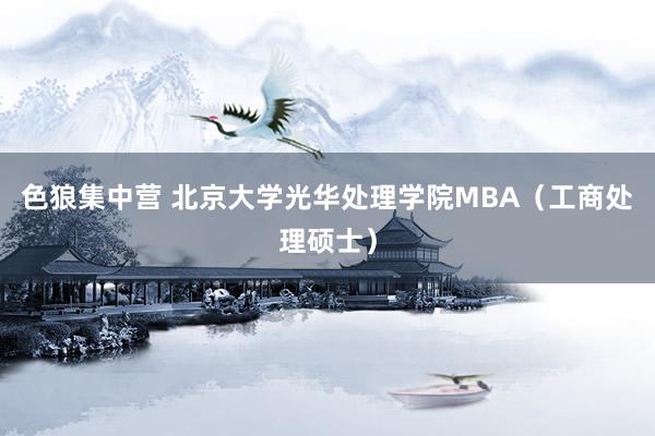 色狼集中营 北京大学光华处理学院MBA（工商处理硕士）