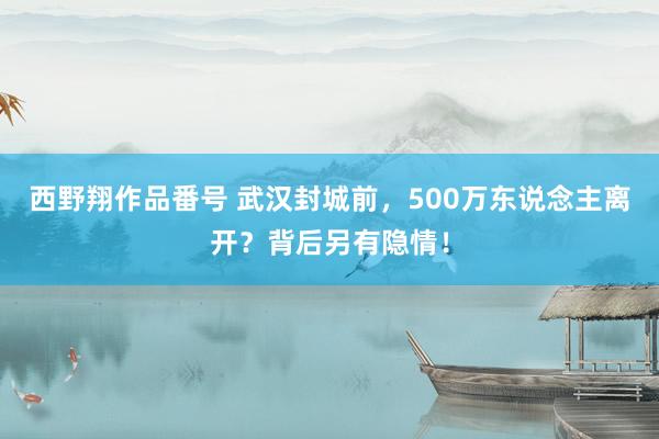 西野翔作品番号 武汉封城前，500万东说念主离开？背后另有隐情！