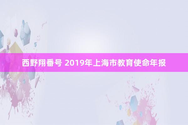 西野翔番号 2019年上海市教育使命年报