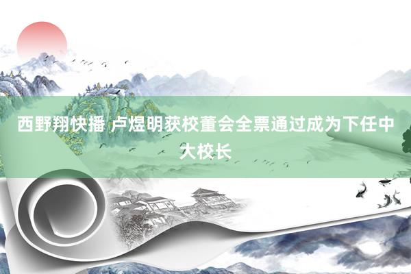 西野翔快播 卢煜明获校董会全票通过成为下任中大校长